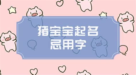 2019猪年男宝宝起名事宜_宝宝起名* - 美名腾智能起名网