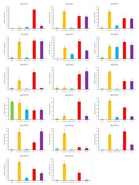 Genome-Wide Identification and Expression Analysis of Auxin Response ...