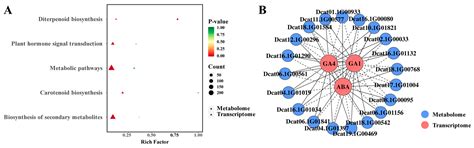 Regulation of Flower Bud Differentiation Hormones and Identification of ...
