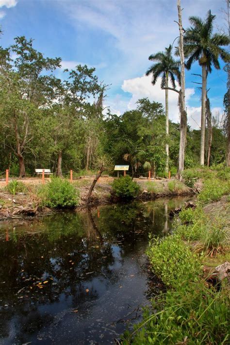 Calusa Conglomerate: Discover Our Diverse Business Holdings