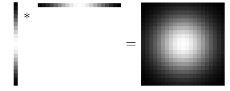 Computer Simulation Technology Filter 的图像结果