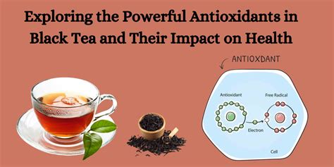 Exploring the Powerful Antioxidants in Black Tea
