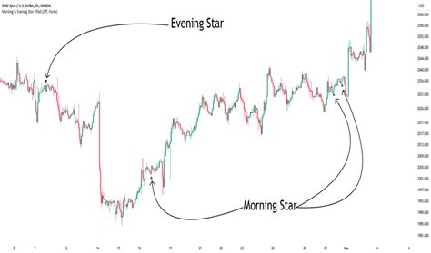 Image result for Morningstar Tutorial