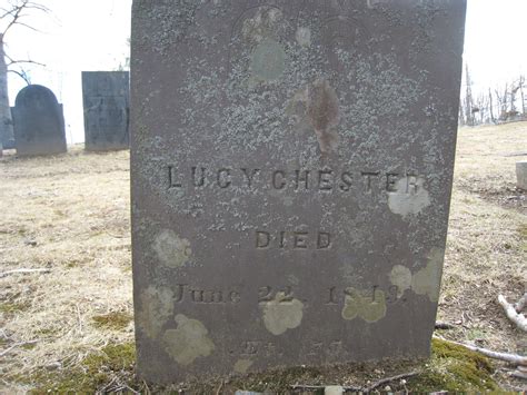 Maynard Life Outdoors and Hidden History of Maynard: June 2020