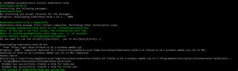 Choco Install Postman 的图像结果