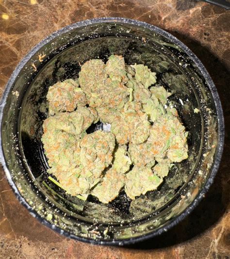 Circus Ring from High Supply (Cresco) : r/ILTrees