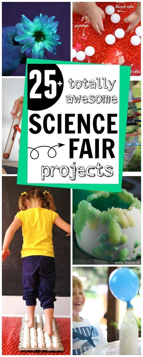 Good Science Project Ideas 的图像结果