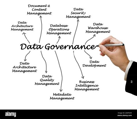 Metadata Management 的图像结果