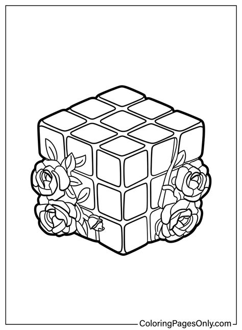 Rubiks Cube Coloring