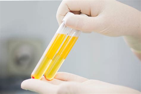 Image result for Example of Biological Process