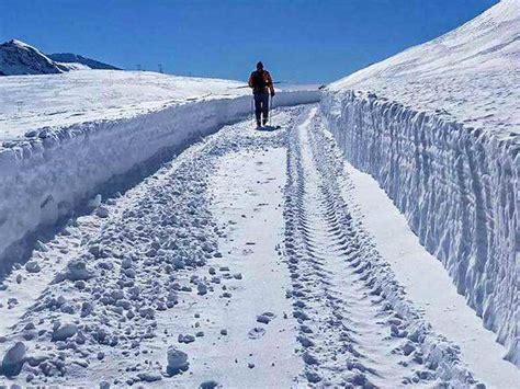 Rains, thunderstorm lash Delhi-NCR - Several parts of North India turn ...