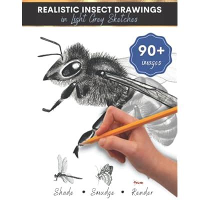 Insect Drawing Book for Kids and Teens: Realistic India | Ubuy