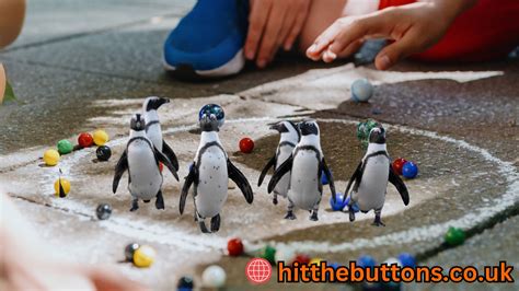 Image result for Penguin Math Game