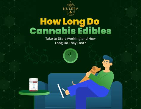 Nuleev | How Long Do Cannabis Edibles Take to Start Working?