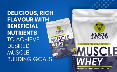 Muscle Asylum- Muscle Whey 100% Whey Protein - 24g Protein, 5.2g BCAA ...