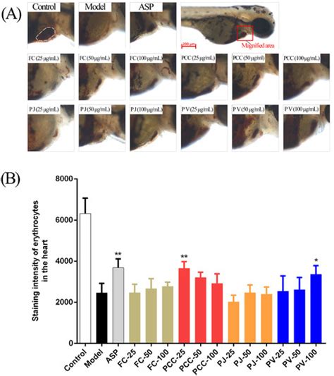 Lipid Profiles of the Heads of Four Shrimp Species by UPLC–Q–Exactive ...