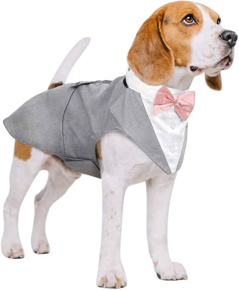 Puptail Velvet Suit, Tuxedo and Bandana Set for Dogs - Wedding Party ...