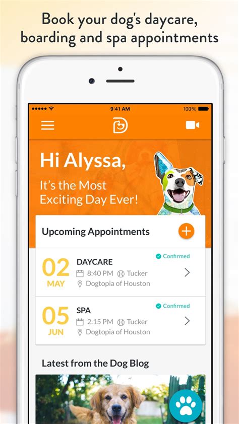 Image result for How to Download Dogtopia Java