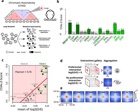 Intact Protein Deconvolution Chromeleon 的图像结果