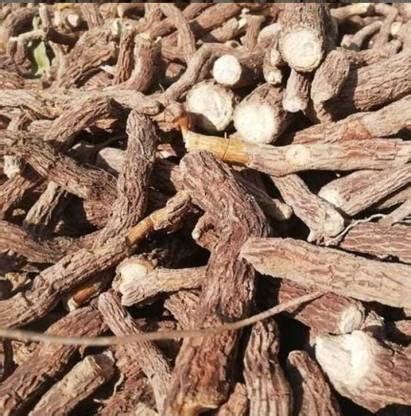 Pioneer Natural Indian Snake Root, Sarpagandha, Patalagaruda ...