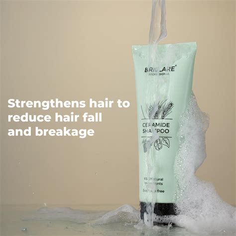 Best Shampoo for Hair Fall and Dandruff for Men And Women – Brillare