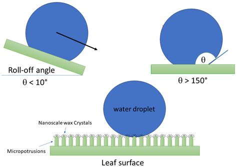 Superhydrophobic Materials from Waste: Innovative Approach