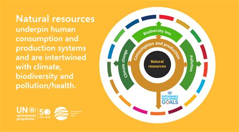 COP26: How natural resource management can address biodiversity loss ...