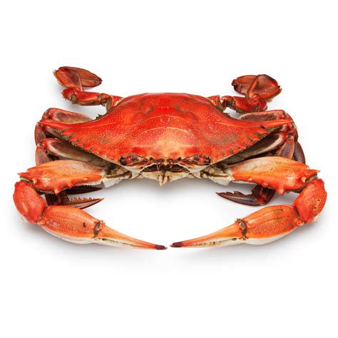 Order Maryland Blue Crab, 6-Pack | Fast Delivery