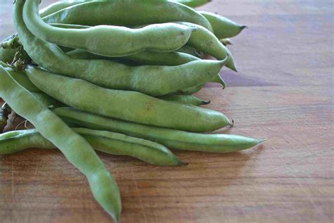 How To Deep Fry Fava Beans at Mia Fortune blog