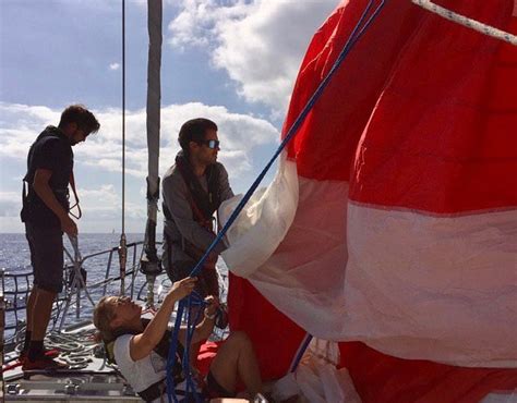 PANGAEA EXPLORATIONS (2025) All You Need to Know BEFORE You Go (with ...