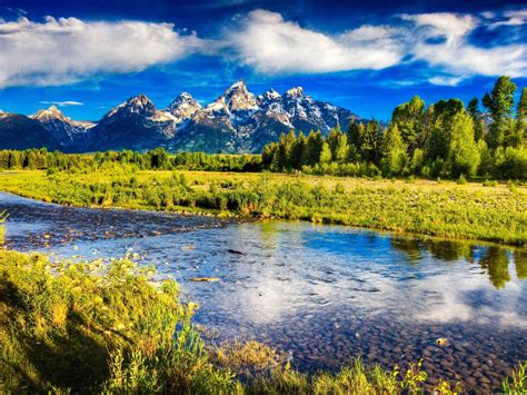 Nature Beauty Images 的图像结果