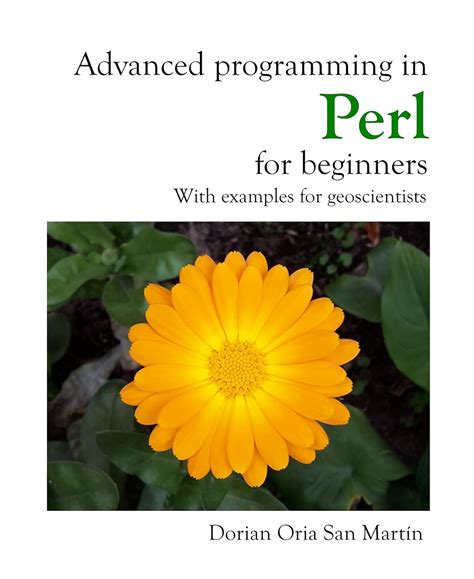 Advanced programming in Perl for beginners: With examples for ...