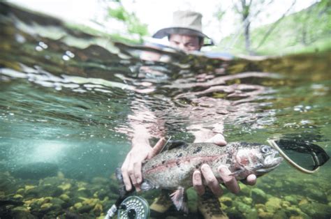 New Hampshire Fishing License (2025): Types, Costs & How To Buy