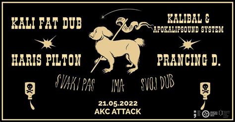 Jer svirati se mora 2: KALI FAT DUB, HARIS PILTON, KALIBAL ...