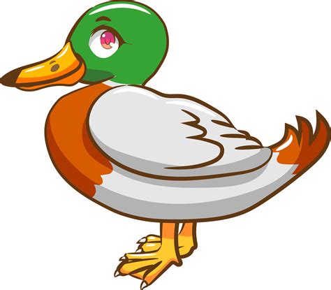 Duck Clipart Png