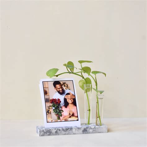 Trace - Handmade Concrete Test Tube Planter with 4x6 Photo Holder