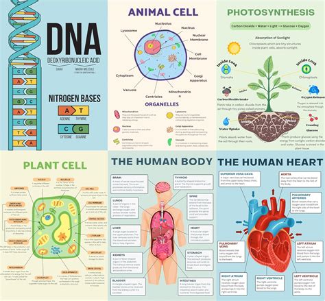 6 carteles científicos para el aula de la escuela secundaria ...