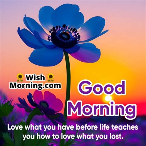 Top 999+ whatsapp good morning images with quotes – Amazing Collection whatsapp good morning ...