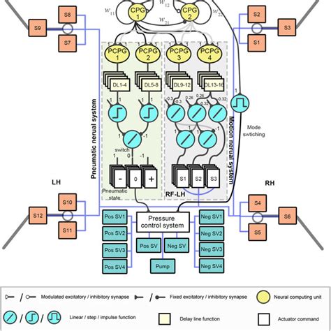 Image result for Neural Control Mechanism