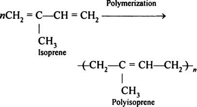 What are elastomers? Give an example of a natural elastomer. from ...
