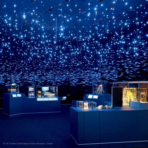 History Museum 的图像结果