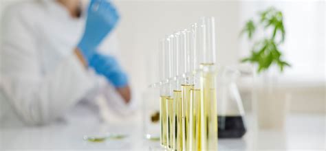 Image result for Medicinal Chemistry Programs