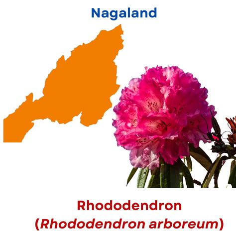 ICAR-Directorate of Floricultural Research