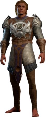 Chain Shirt - bg3.wiki