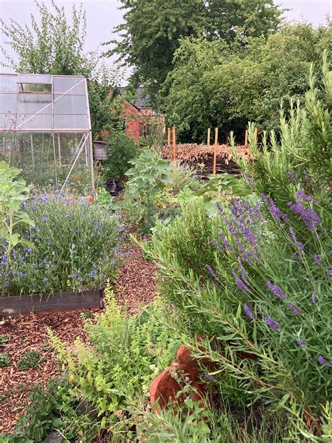 Groene vingers - voor volwassenen ?, Berlare, 8 April 2025 | AllEvents