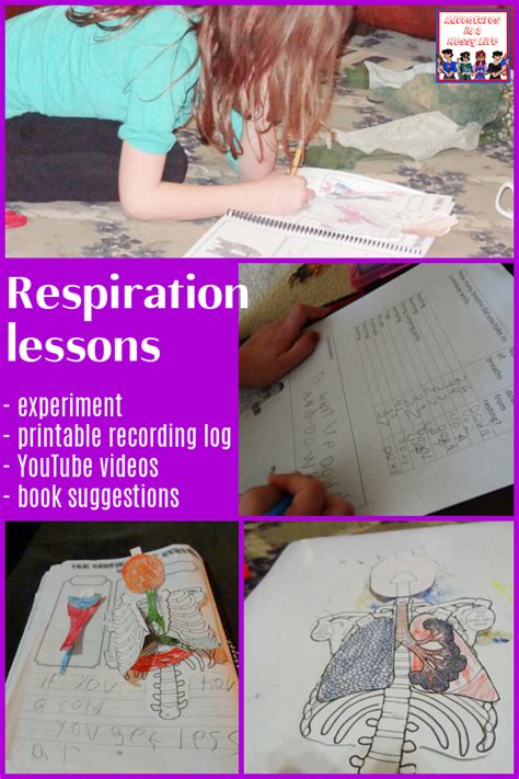 Free Science Lessons Respiration 的图像结果