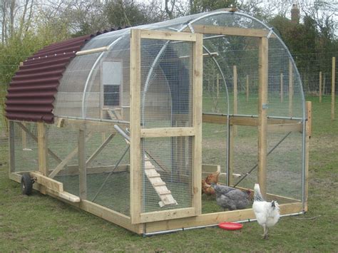 Large Chicken Run With Roof at Oliver Vaccari blog
