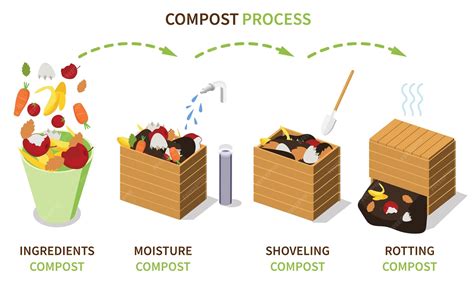 Premium Vector | Composting boxes 3d infographics with diagram of ...