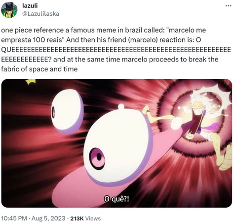 one piece reference a famous meme in brazil called: "marcelo me ...