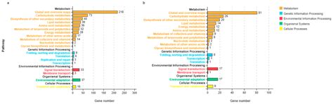 Transcriptome Analysis of Biochemistry Responses to Low-Temperature ...